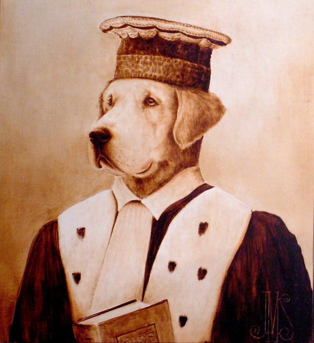 labrador: portrait de chien